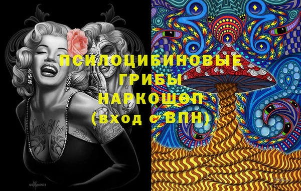 крисы Верхний Тагил