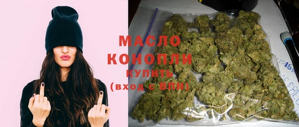 крисы Верхний Тагил